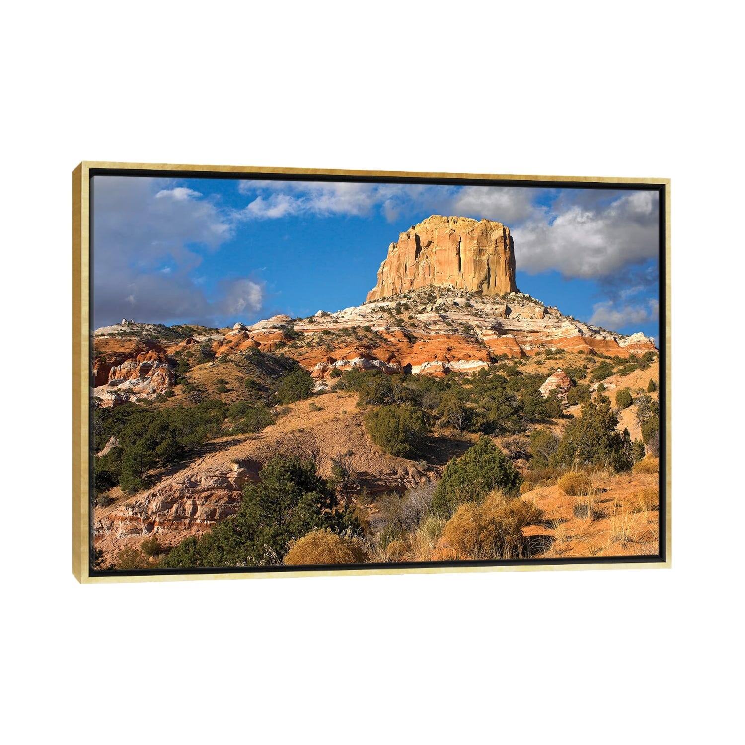 iCanvas "Square Butte Near Kaibito, Arizona" by Tim Fitzharris Framed Canvas Print Bed Bath